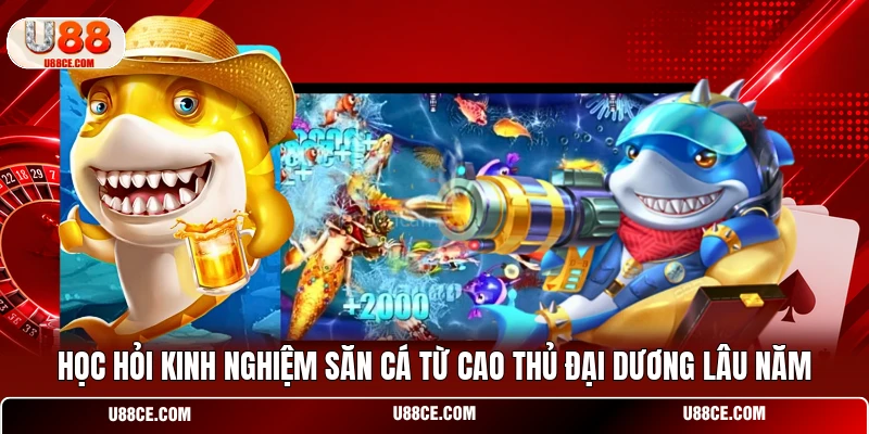 Học hỏi kinh nghiệm săn cá từ cao thủ đại dương lâu năm